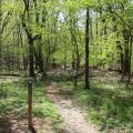 forest trail in Wolf Trap National Park